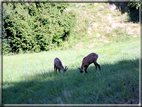 foto Strada delle Penise